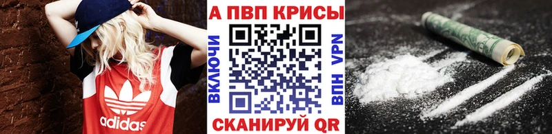 A-PVP СК Вольск