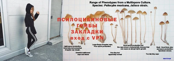 2c-b Покачи