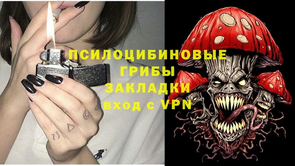 бошки Бикин