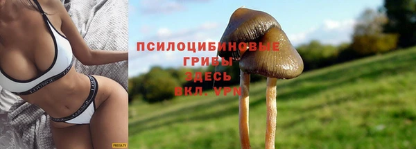 2c-b Покачи