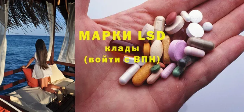 наркошоп  Вольск  площадка телеграм  Лсд 25 экстази ecstasy 