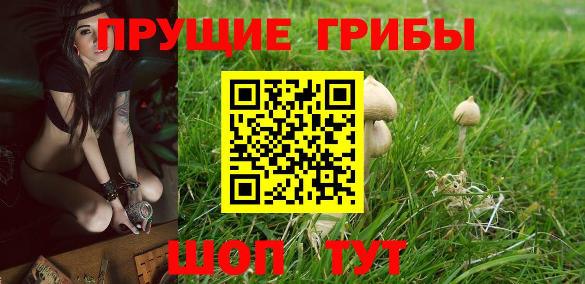 Псилоцибиновые грибы мухоморы Вольск
