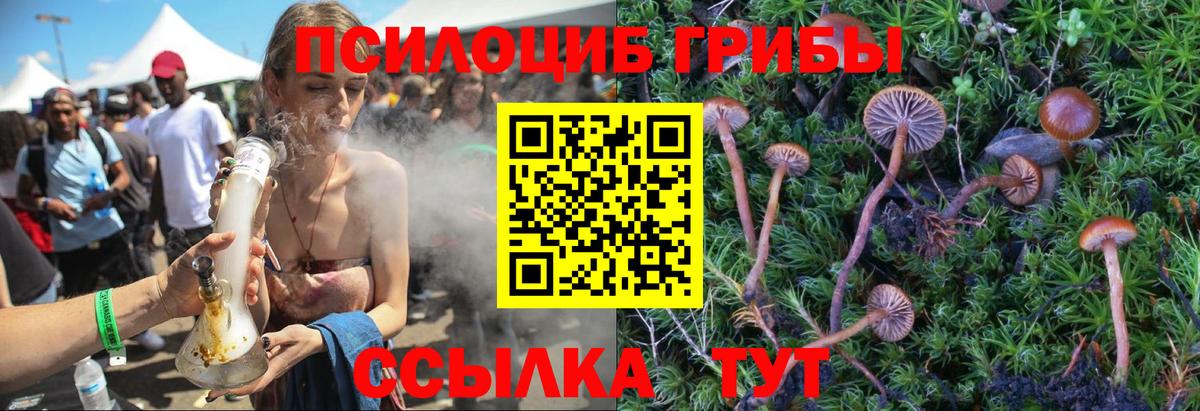 Вольск  Псилоцибиновые грибы Magic Shrooms  Псилоцибиновые грибы Psilocybe  Вход с VPN 