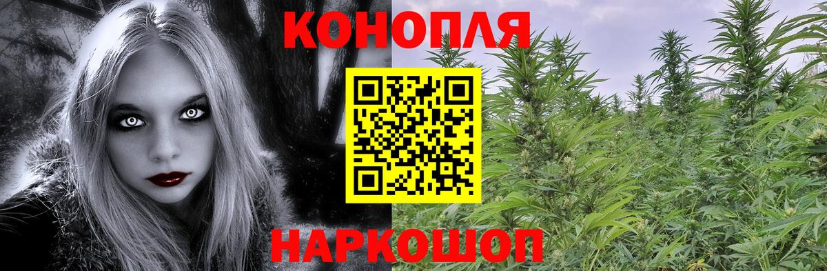 Марихуана VHQ  Вольск  Канабис гибрид  Бошки марихуана конопля 