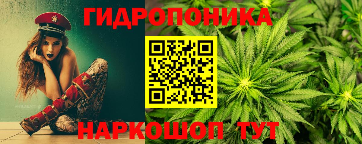 Вольск  Бошки марихуана план  Вход с VPN  МАРИХУАНА марихуана  МАРИХУАНА SATIVA & INDICA 